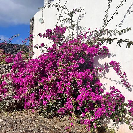 Casa Do Becco Βίλα Angra do Heroísmo Εξωτερικό φωτογραφία
